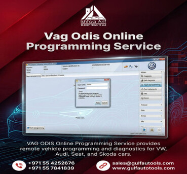 Dubai, Automotive, VAG ODIS Online Programming Account Login Service