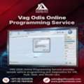 VAG ODIS Online Programming Account Login Service