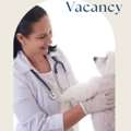 Veterinarian