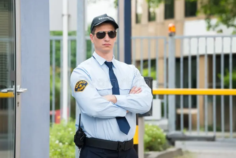 New Delhi, Security, Best Security Companies In Gurgaon