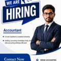Audit Cum Accountant Vacancy