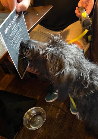 London, Restaurants, Pet-Friendly Accommodation Moffat &ndash; Stay In Comfort At The Black Bull Inn