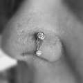 Fallen Heroes Tattoo & Piercing (Florida)
