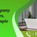 Simple Steps To Resolve Damaged Company Data Issue