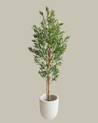 Sydney, Auto Parts, Artificial Plants