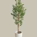 Artificial Plants