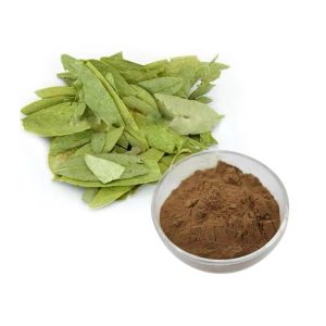 Mumbai, Health & Beauty Items, Curry Leaf Extract (3% Iron) Manufacturers In India