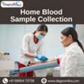 Home Blood Sample Collection | Book Lab Test Online