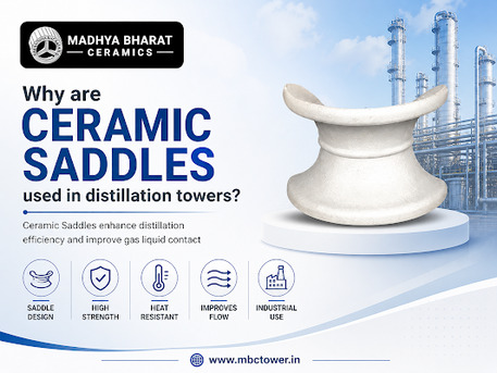Bhopal, Materials, Industrial Ceramic Saddles In India For Efficient Tower Packing Systems