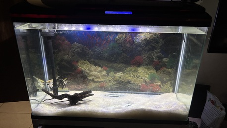Jubail, Pet Supplies, SAR 1000,  Selling My Aquarium