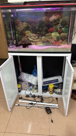 Jubail, Pet Supplies, SAR 1000,  Selling My Aquarium