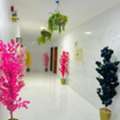 2 BR,  2 Bhk Fully Furnished Family Rooms