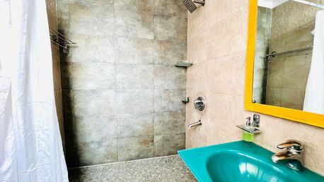 New Delhi, Apts/Flats Wanted, INR 4752/day,  Furnished,  1 BR,  600 Sq. Feet,  Classic 1BHK - Green Park & Hauz Khas Village
