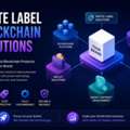 USD 25000,  White Label Blockchain Solutions For Modern Web3 Businesses