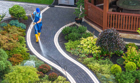 Sydney, Cleaning, Mould And Dirt Build Up Fast Without Professional Cleaning Help