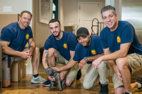 New York, Business, AM Moving Company Plano