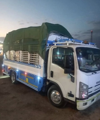 Riyadh, Labor/Moving, ALL RIYADH MOVERS PACKERS CLEANERS AND PEST CONTROLTOTAL SOLUTION BEST PRICE