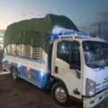 ALL RIYADH MOVERS PACKERS CLEANERS AND PEST CONTROLTOTAL SOLUTION BEST PRICE