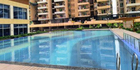 Greater Noida, Construction, Swimming Pool Dealers
