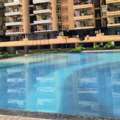 Swimming Pool Dealers