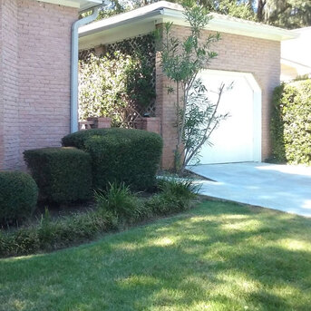 New York, Business, Landscape Construction Near In Tallahassee