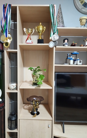 Riyadh, Furniture, SAR 125,  TV Stand