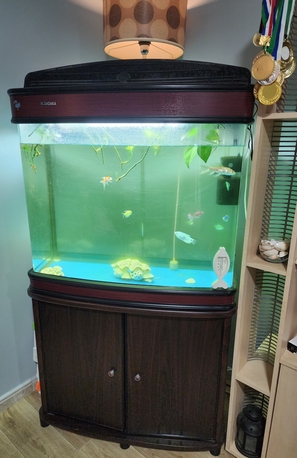 Riyadh, Household Items, SAR 350,  Big Fish Aquarium With Complete Accessories, Fishes And Food