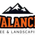 Avalanche Tree And Landscaping LLC