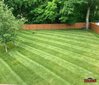 New York, Farm/Garden, Avalanche Tree And Landscaping LLC
