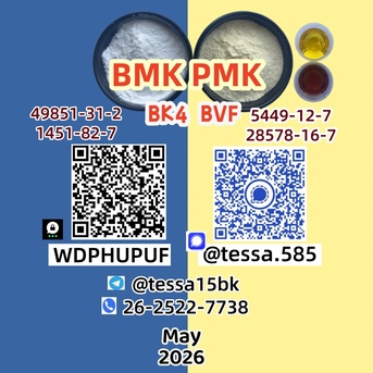 Hong Kong, Wholesale Products, PMK Cas 28578-16-7kEthyl Glycidate  C13h14o5  99%  High Purity 5449-12-7 BMK