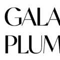 Galaxy Plumbing