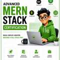 Launch Your MERN Career