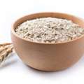 Best Oats Manufacturers In India