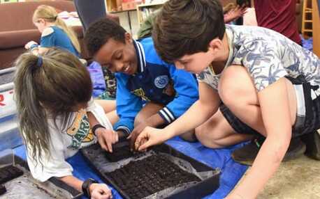 New York, Education, Private Elementary School, Sandy Spring, MD &ndash; Enroll Your Child Today!