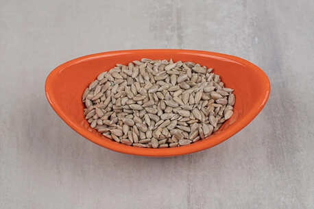 Navi Mumbai, Food, Sunflower Seeds Manufacturers