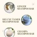 CAD 16, Why Should You Use Shampoo For Grey Hair Instead Of Regular Shampoo?