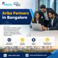 Ariba Partners In India Services