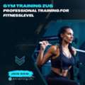 Gym Training Zug: Professional Training For Fitnesslevel