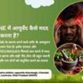 Best Ayurvedic Doctor In Alambagh For Holistic Health & Wellness