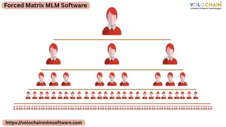 Noida, Software Development, Utilize Forced Matrix MLM Software For Faster Business Growth