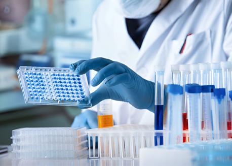 New York, Health, Porcine Protein ELISA Kits