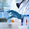 Porcine Protein ELISA Kits