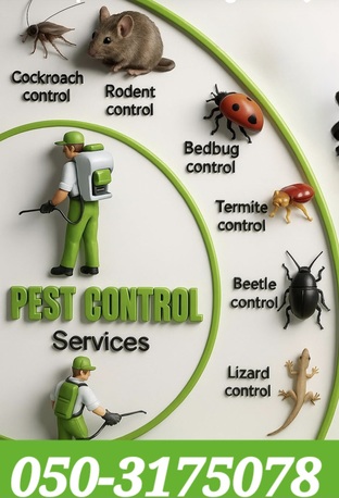 Al Sulaymaniyyah, Pest Control, ●PROFESSIONAL PAKISTANI ALL TYPES PEST CONTROL SOLUTION●WITH GUARANTEED 6MONTHS●