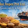 Best Grains Exporter In India &ndash; Premium Quality Agro Products By Glee Impex