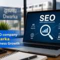 Best SEO Company In Dwarka | DDMS
