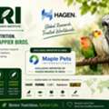 Discover HARI &ndash; Avian Nutrition Backed By Research