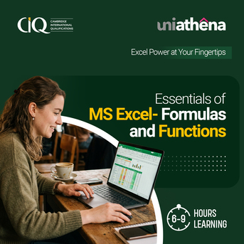 Abbottabad, Lessons Offered, Master Excel Formulas And Functions | UniAthena