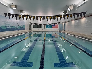 New York, Business Partners, Dolphin Swimming Flagship Pool