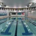 Dolphin Swimming Flagship Pool