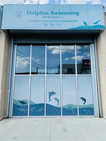 New York, Business Partners, Dolphin Swimming Flagship Pool